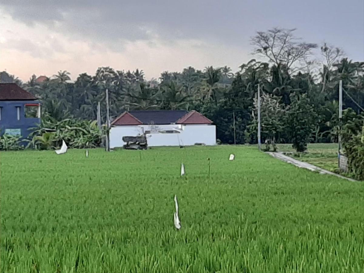 The Satya Villa Ubud Exterior foto